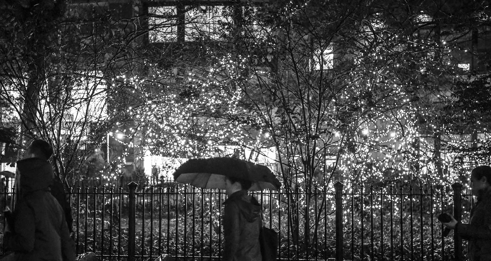 person walking with umbrella in front of trees
