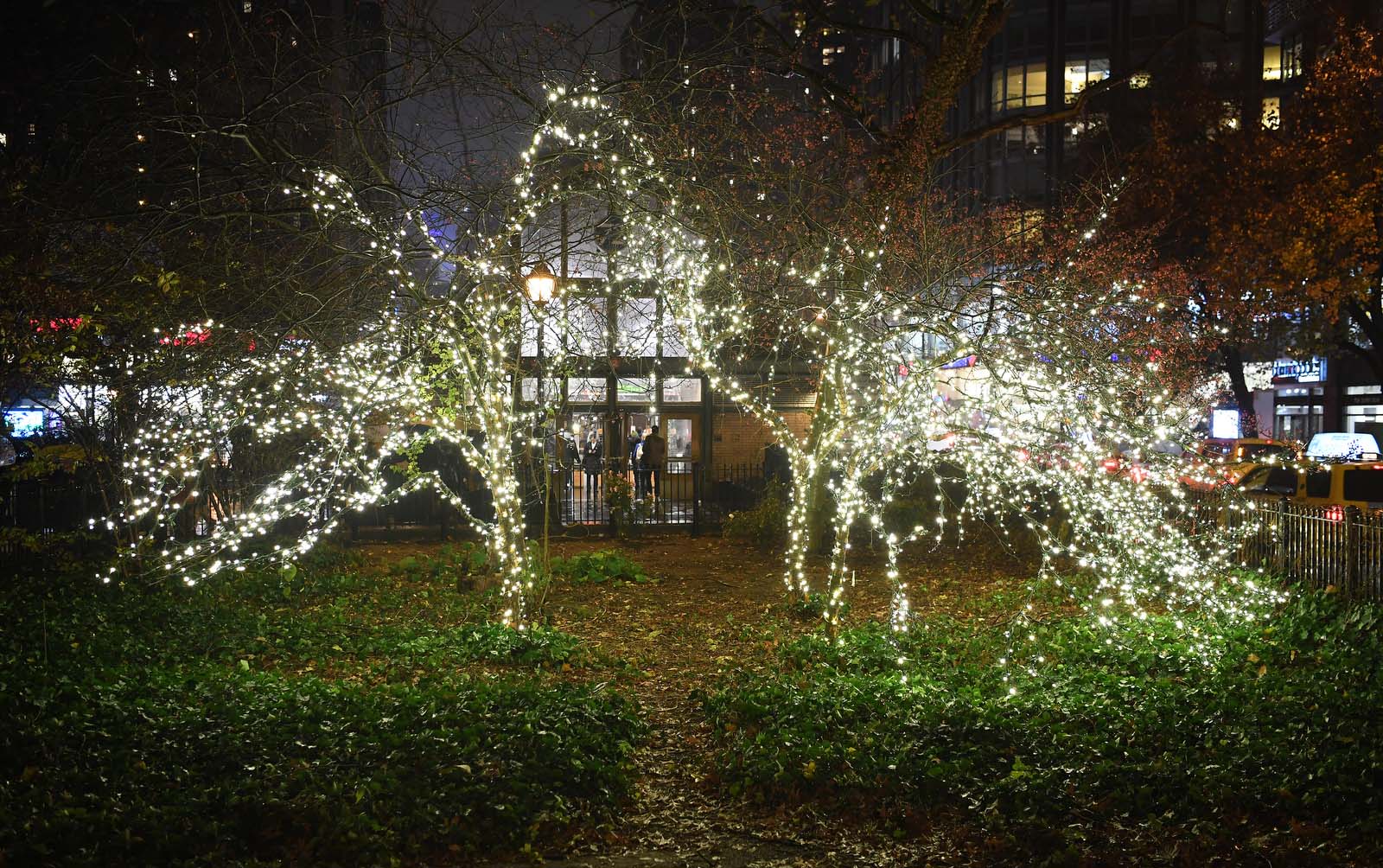 trees with lights